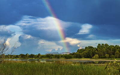 Twenty Seventh meeting