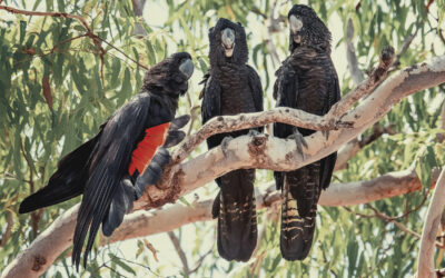 Twenty Eighth meeting